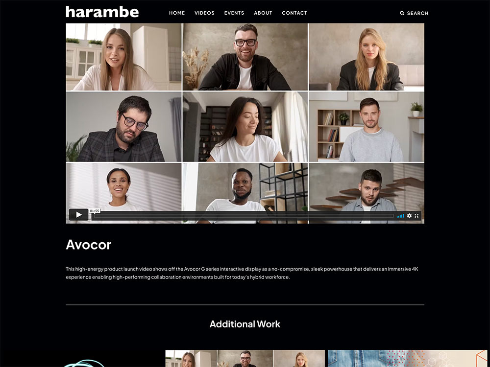 Harambe 2022 Single Portfolio Entry Page