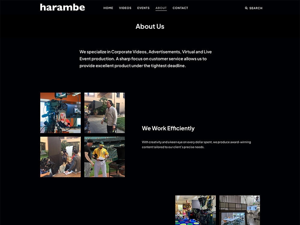 Harambe 2022 About Page