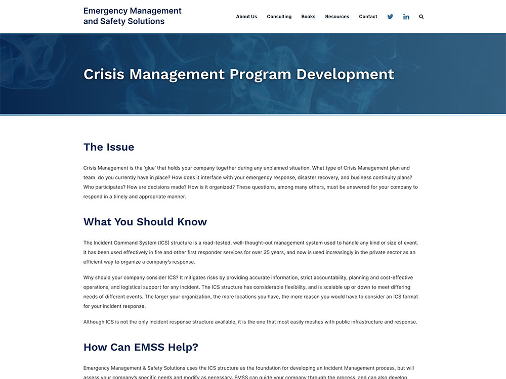 EMS Solutions Consulting Service Page