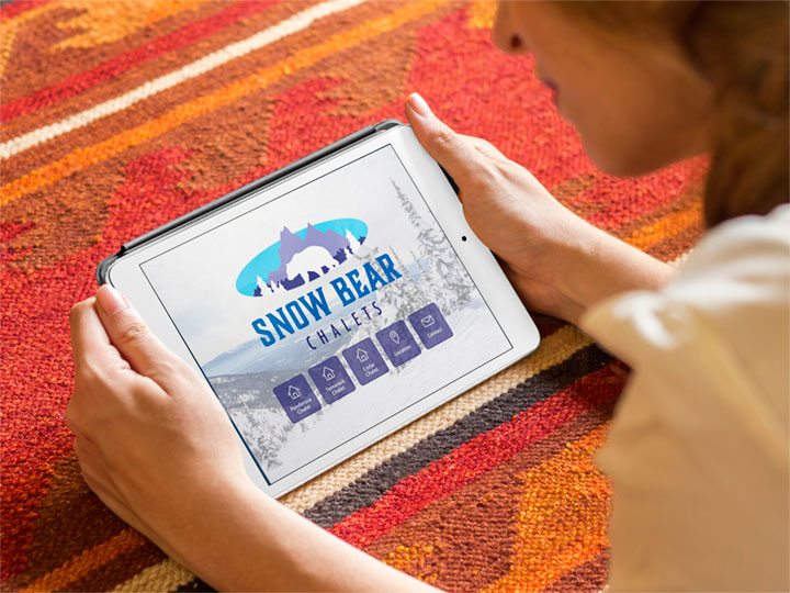Razorfrog portfolio: Snow Bear Chalets