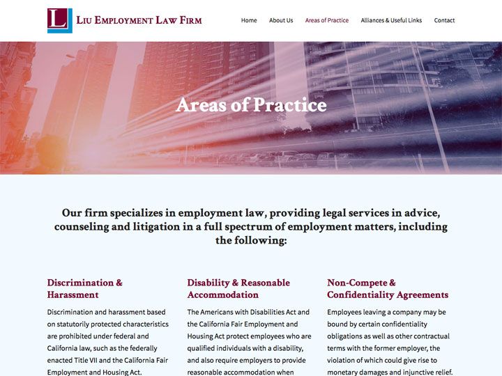 Liu Employment Law Areas of Practice