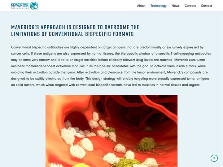 Maverick Therapeutics Technology Page