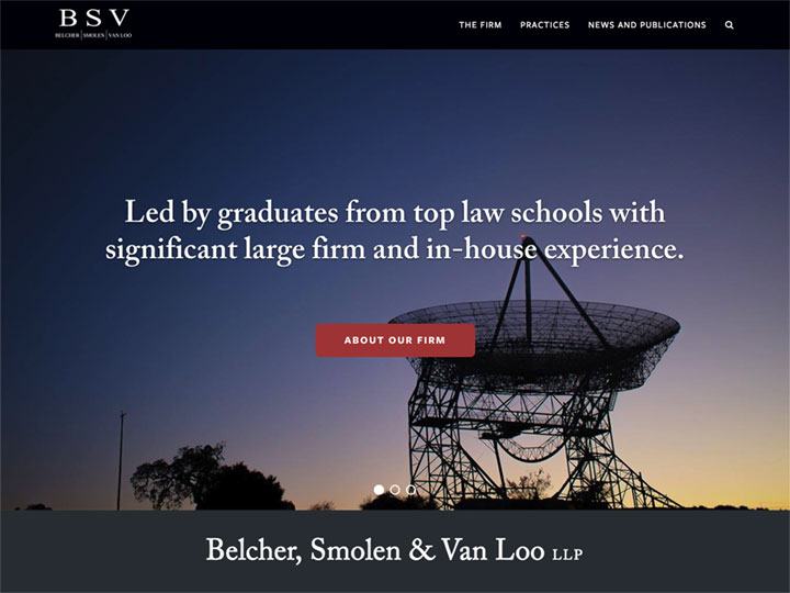 BSV Homepage 1