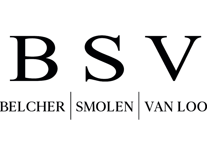 BSV Law Logo