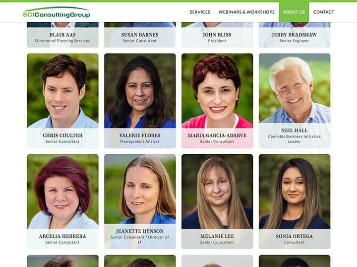 SCI Consulting Group Team Page