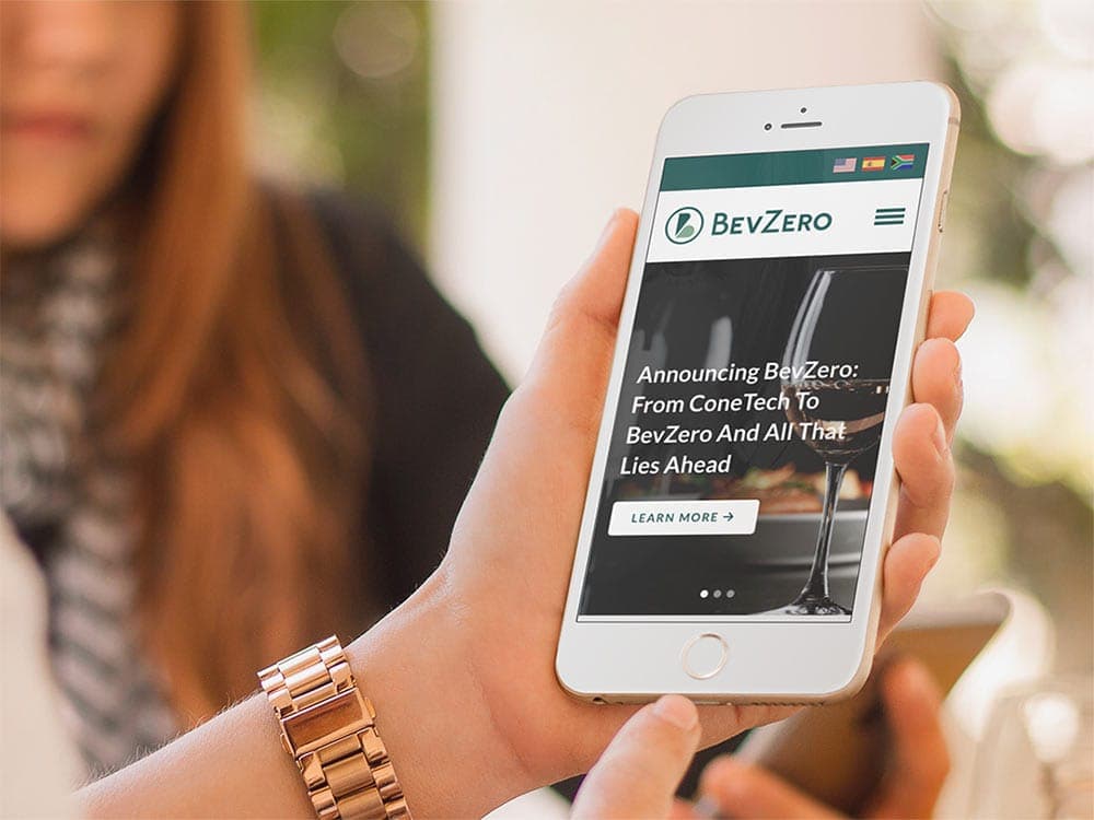 Razorfrog portfolio: BevZero