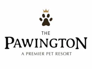 Razorfrog client: The Pawington