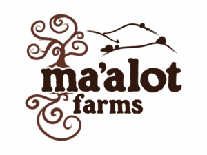Razorfrog client: Ma’alot Farms